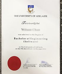 Fake Degree Advantages and Employment Prospects at the University of Adelaide