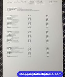 Unveiling Your Academic Story: Understanding the Significance of the UCE Birmingham Transcript