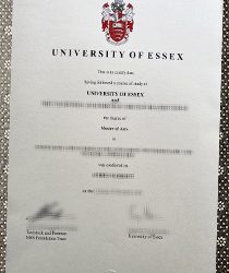University of Essex fake degree