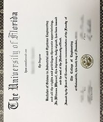 University of Florida fake Degree