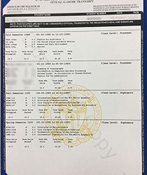 University of Southern California fake Transcript