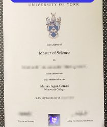 Make the University of York Fake Degree More Real: unimaginably expensive