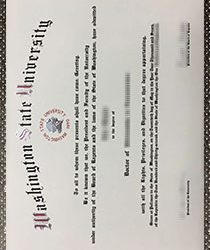 Crimson and Gray Credentials: Unveiling the Prestige of a Washington State University Degree