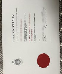 Navigating the Future: How a Fake York University Degree and Diploma Prepare You for Success