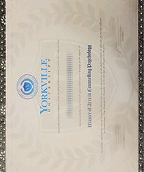 Yorkville University fake Degree