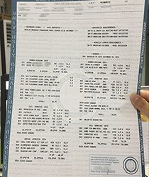 UC berkeley fake transcript