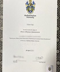 Crafting Futures: The Journey of Achievement at Sheffield Hallam University